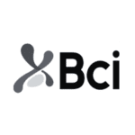 BCI_SSINDEX